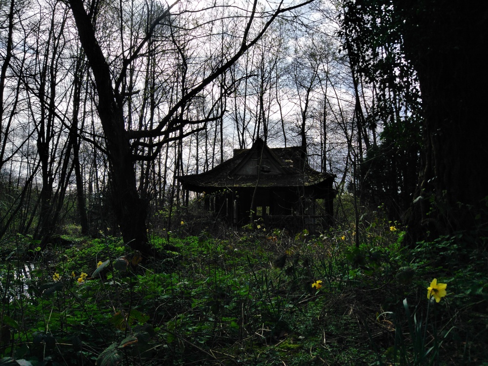 Photograph of Decayed & Creepy in the woods - Lynford Arboretum
