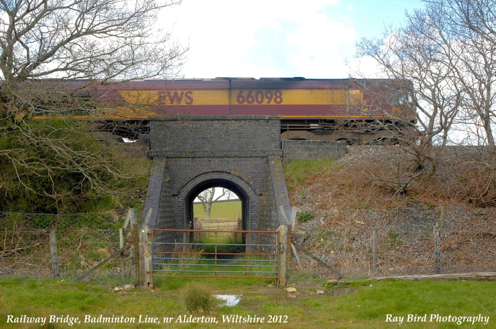 Goods Train, nr Alderton, Wiltshire 2012