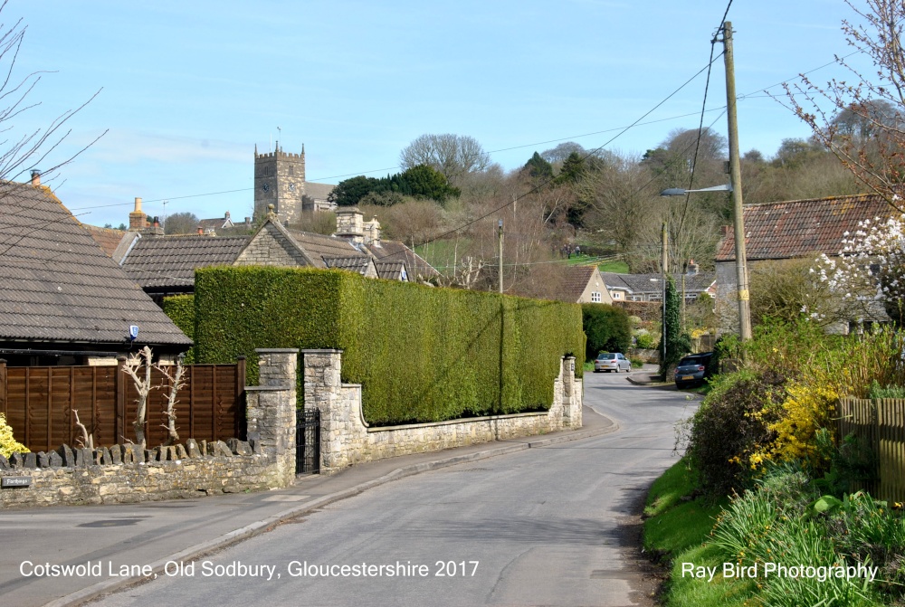 Cotswold Lane, Old Sodbury, Gloucestershire 2017
