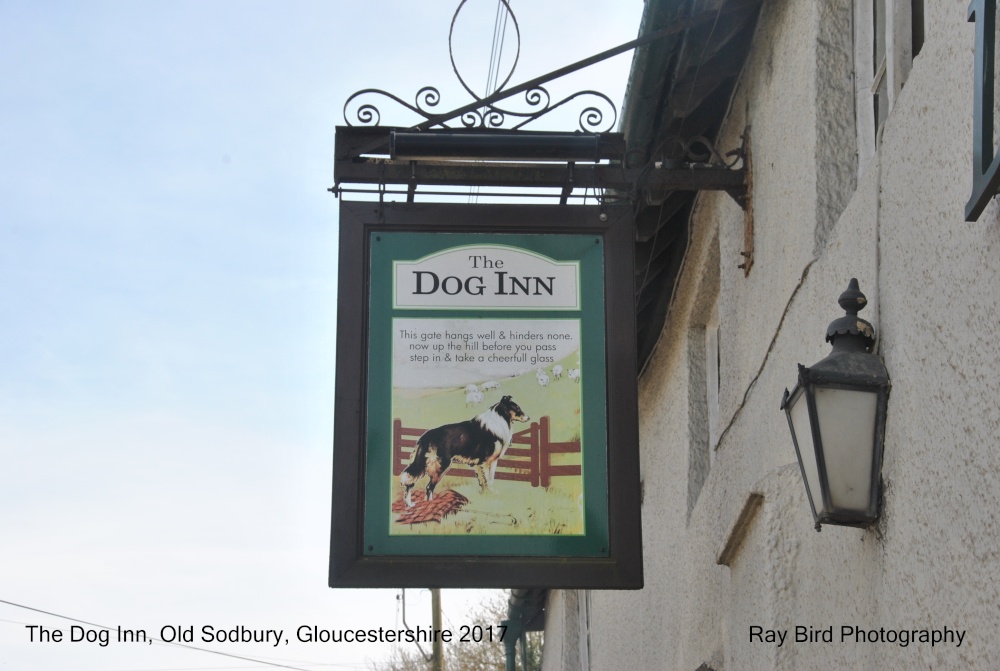 Dog Inn Sign, Old Sodbury, Gloucestershire 2017