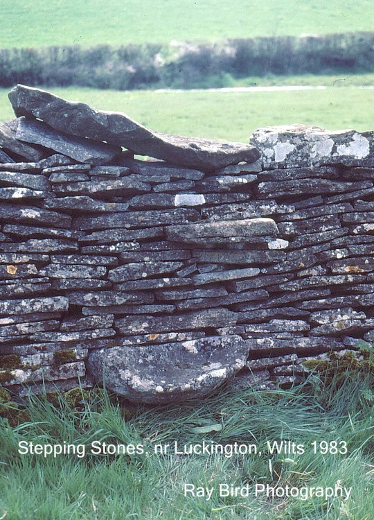 Old Farm Wall Steps, Luckington, Wiltshire 1983