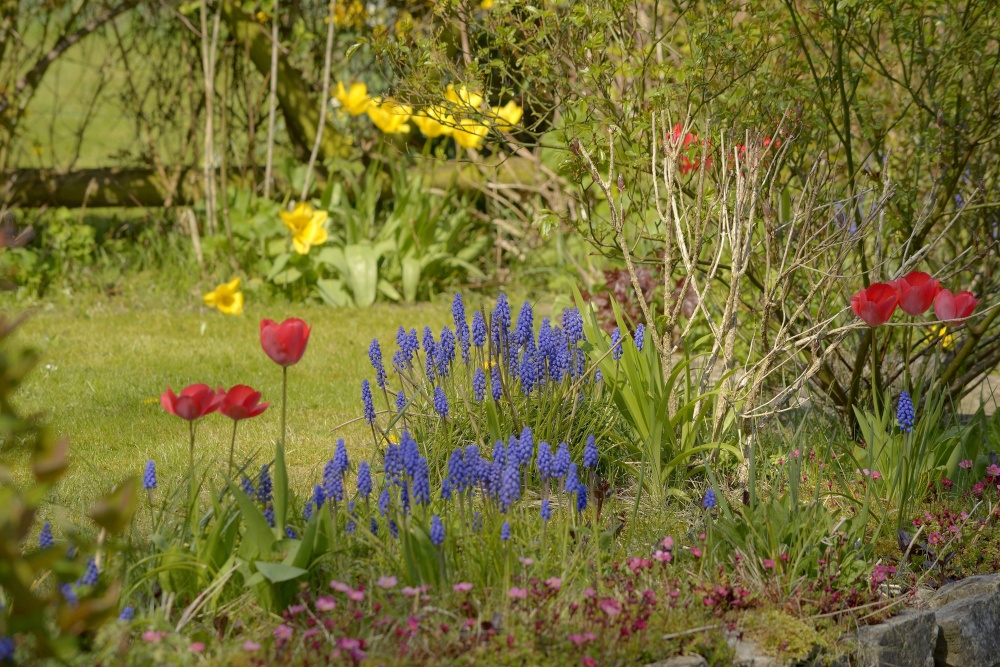 Photograph of Cottage Garden at Thorpe, Derbyshire