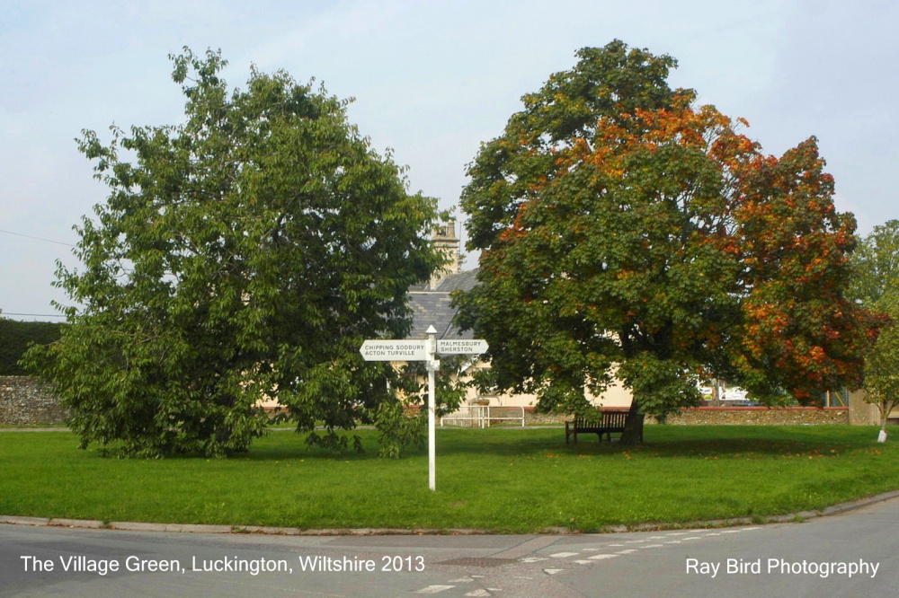 The Village Green, Luckington, Wiltshire 2013