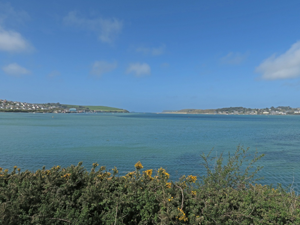 Camel Trail near Padstow