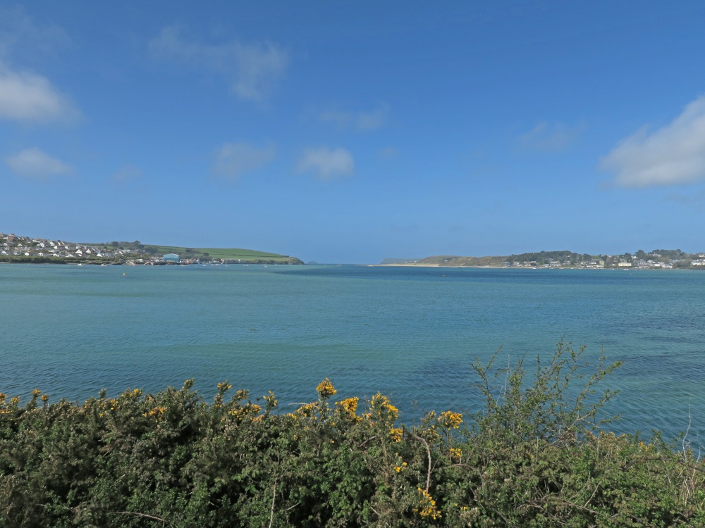 Camel Trail near Padstow photo by Ted