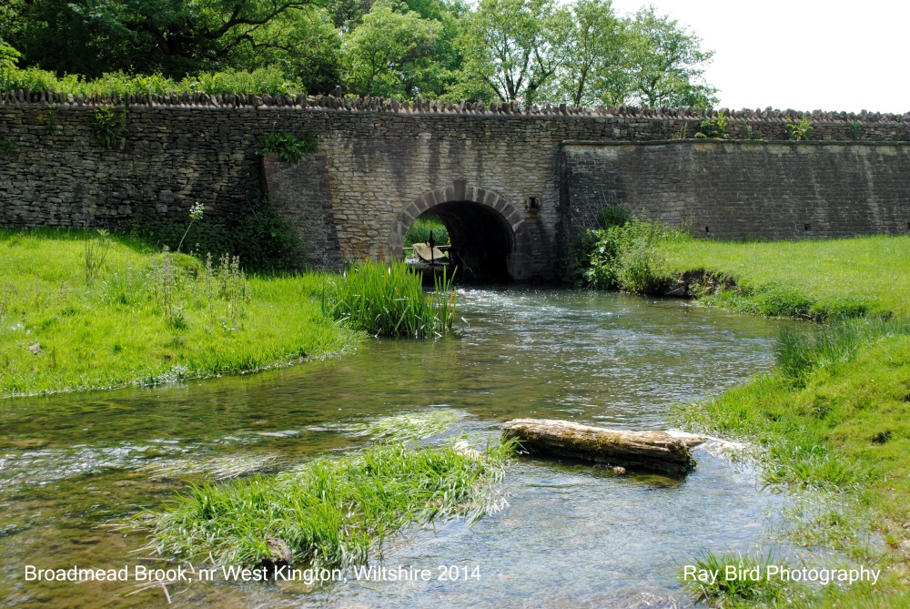 Broadmead Brook, nr West Kington, Wiltshire 2014