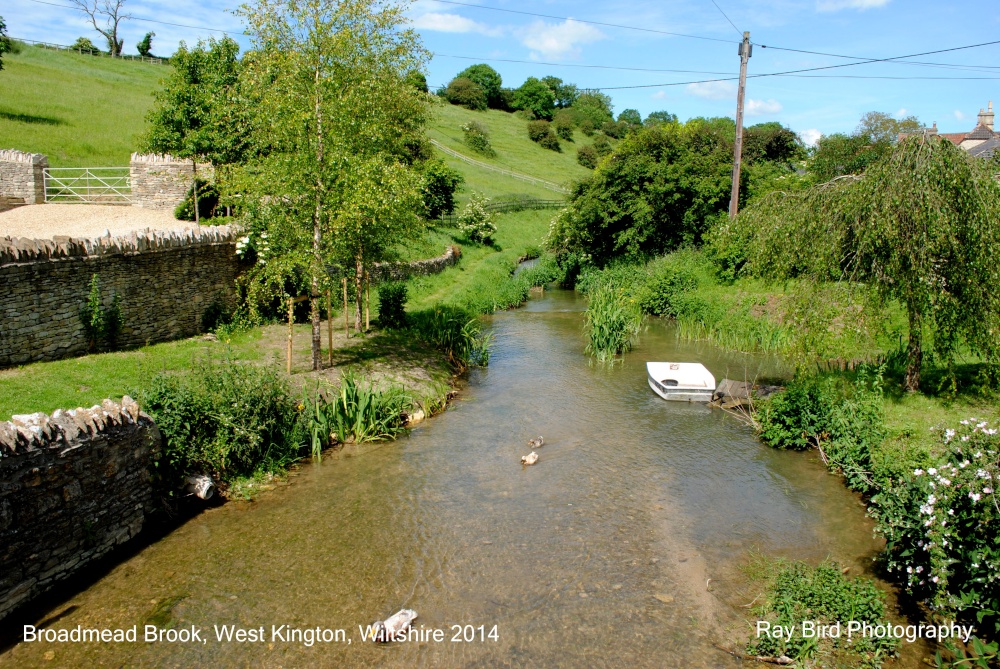 Broadmead Brook, West Kington, Wiltshire 2014