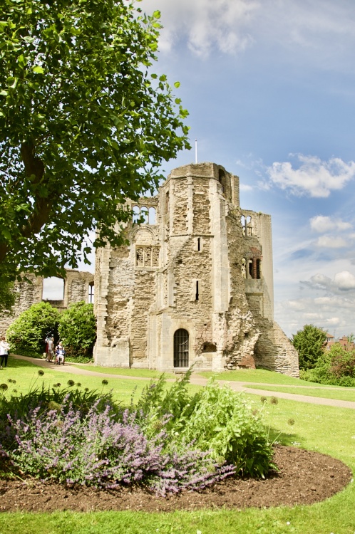 Newark Castle Grounds in bloom
