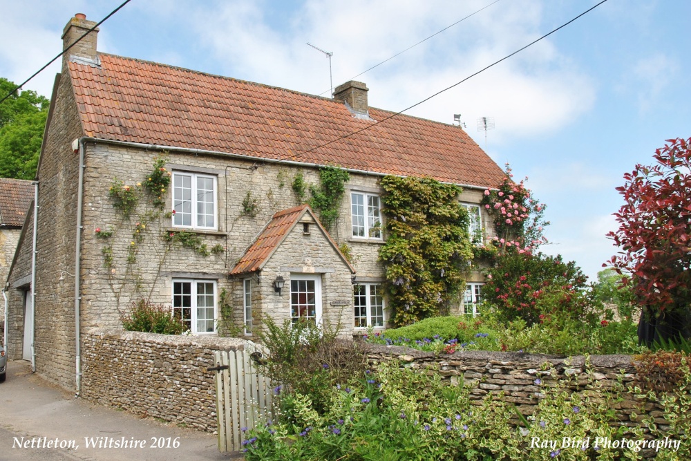 Nettleton, Wiltshire 2016