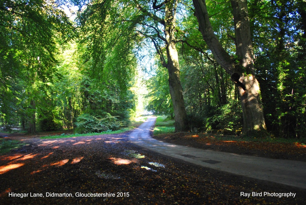 Hinegar Lane, Didmarton, Gloucestershire 2015
