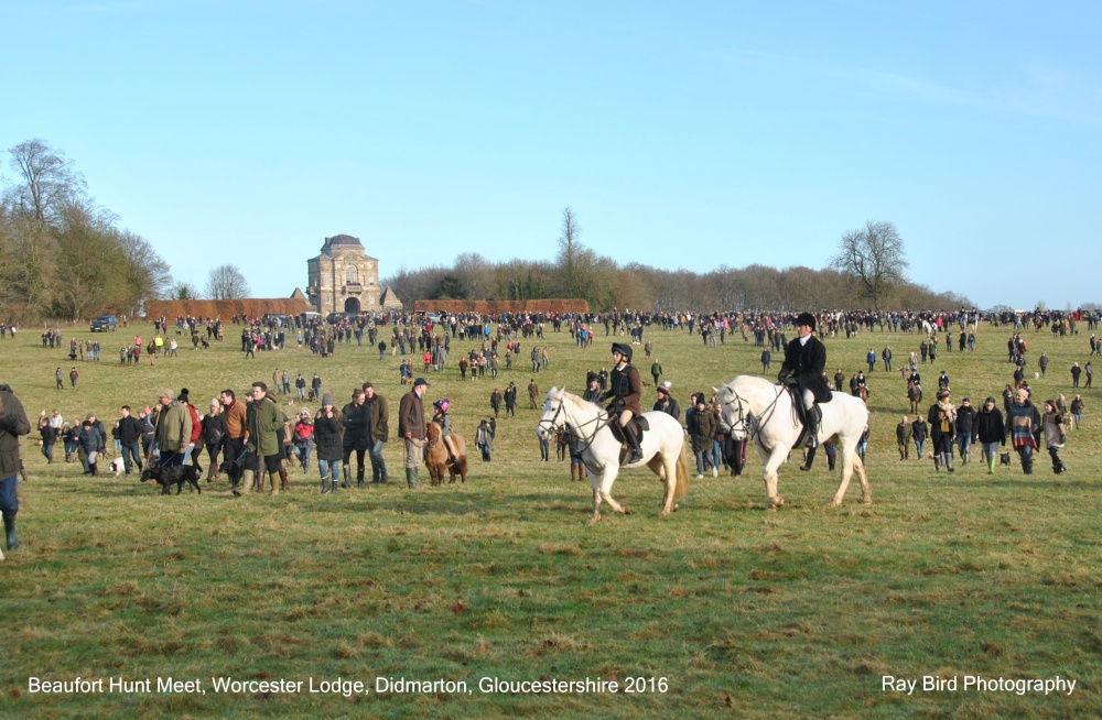 Beaufort Hunt Meet, Worcester Lodge, Didmarton, Gloucestershire 2016