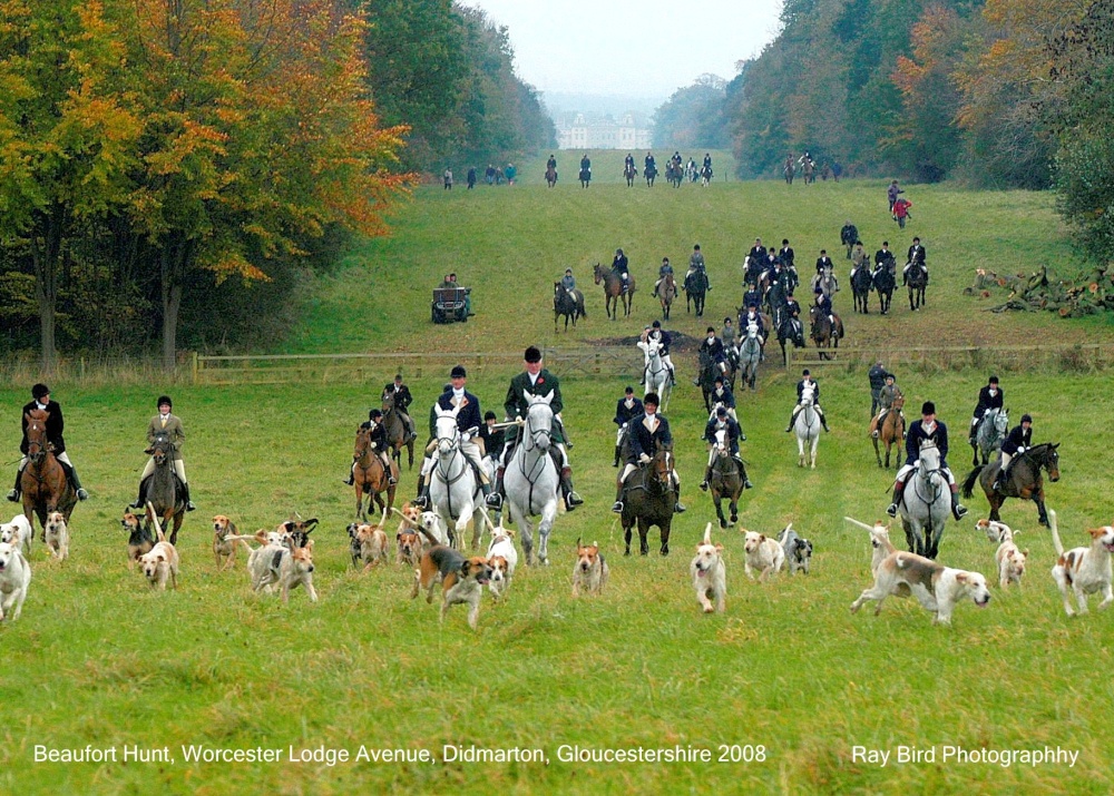 Beaufort Hunt, Worcester Avenue, Didmarton, Gloucestershire 2008