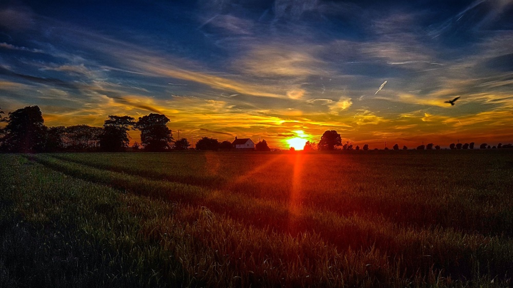 Photograph of Sunset at Landways Cottage Ifield