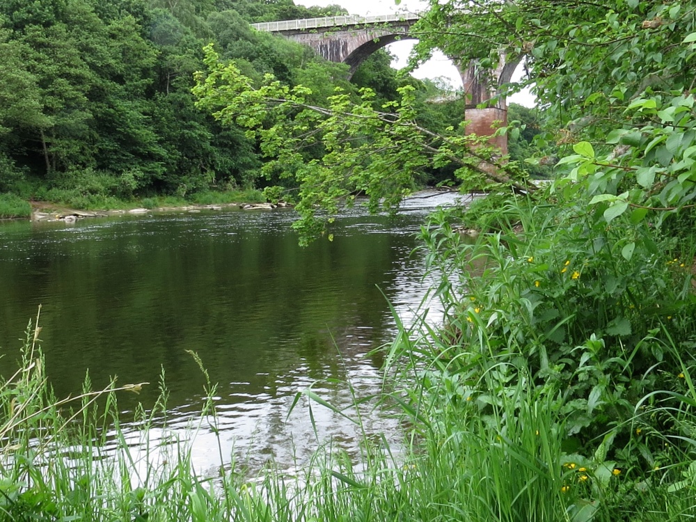 River Eden, Wetheral, Cumbria