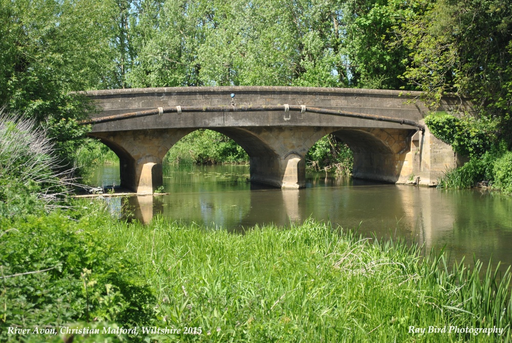River Avon, Christian Malford, Wiltshire 2015