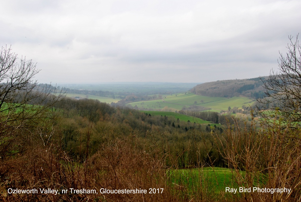 Ozleworth Valley, nr Tresham, Gloucestershire 2017