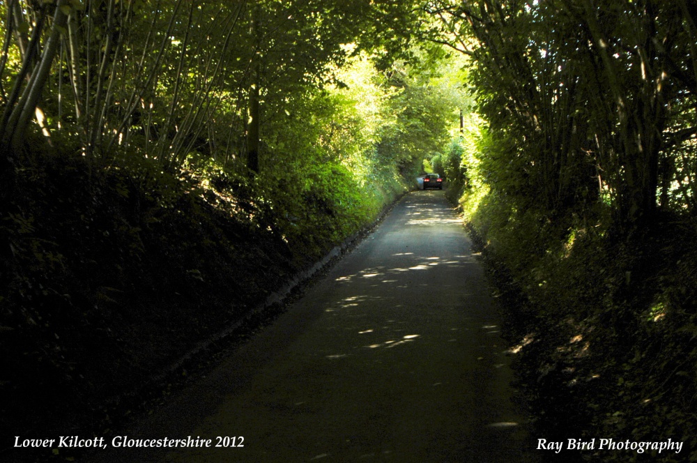 Photograph of Lane into Lower Kilcott, Gloucestershire 2012