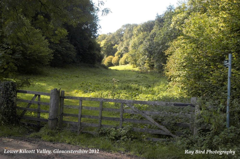 Kilcott Valley, Lower Kilcott, Gloucestershire 2012