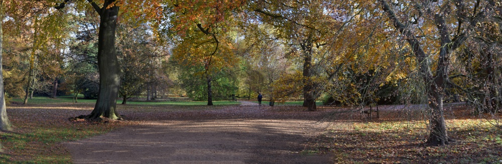 University Park, Oxford