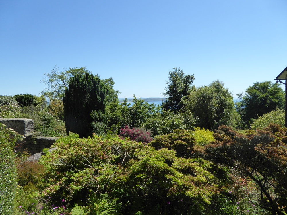 Photograph of The Garden