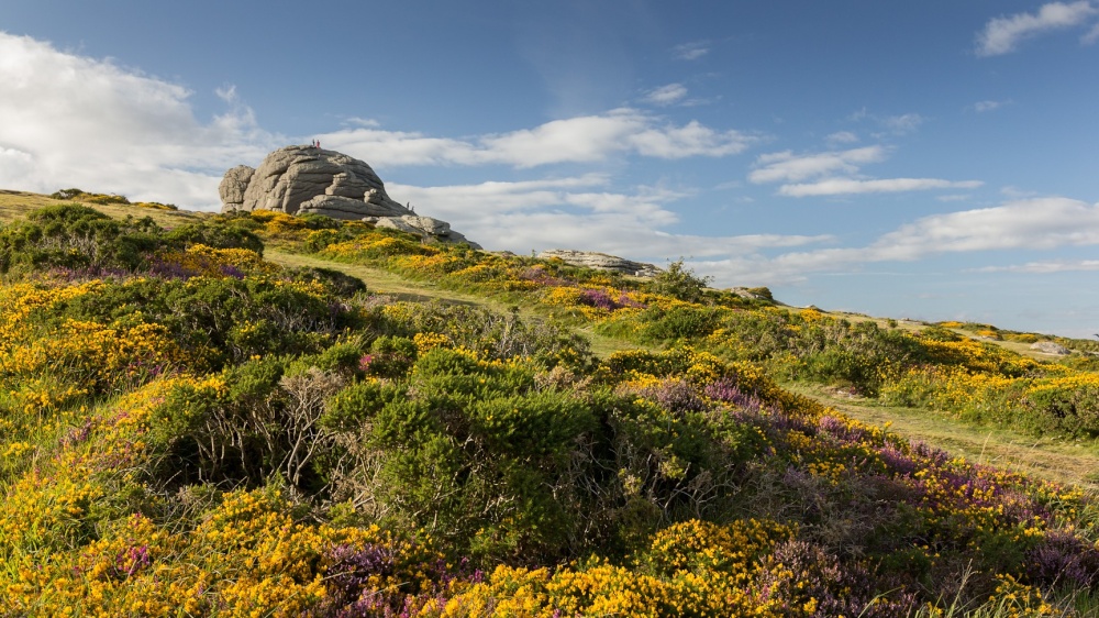 Hay Tor, Dartmoor National Park