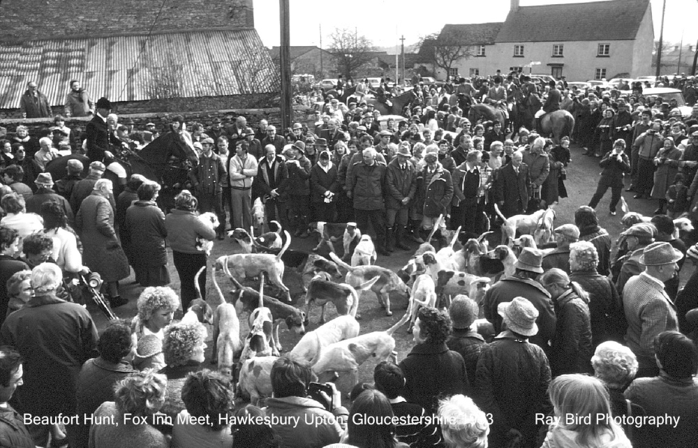 Beaufort Hunt Meet, Fox Inn, Hawkesbury Upton, Gloucestershire 1983