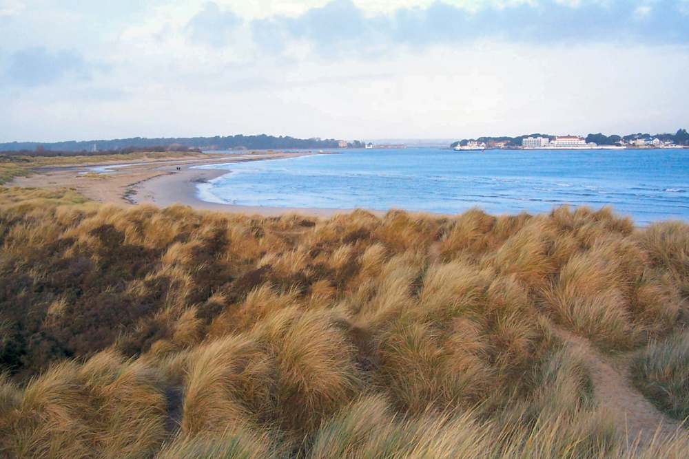 Poole harbour from the point on Shell Bay.