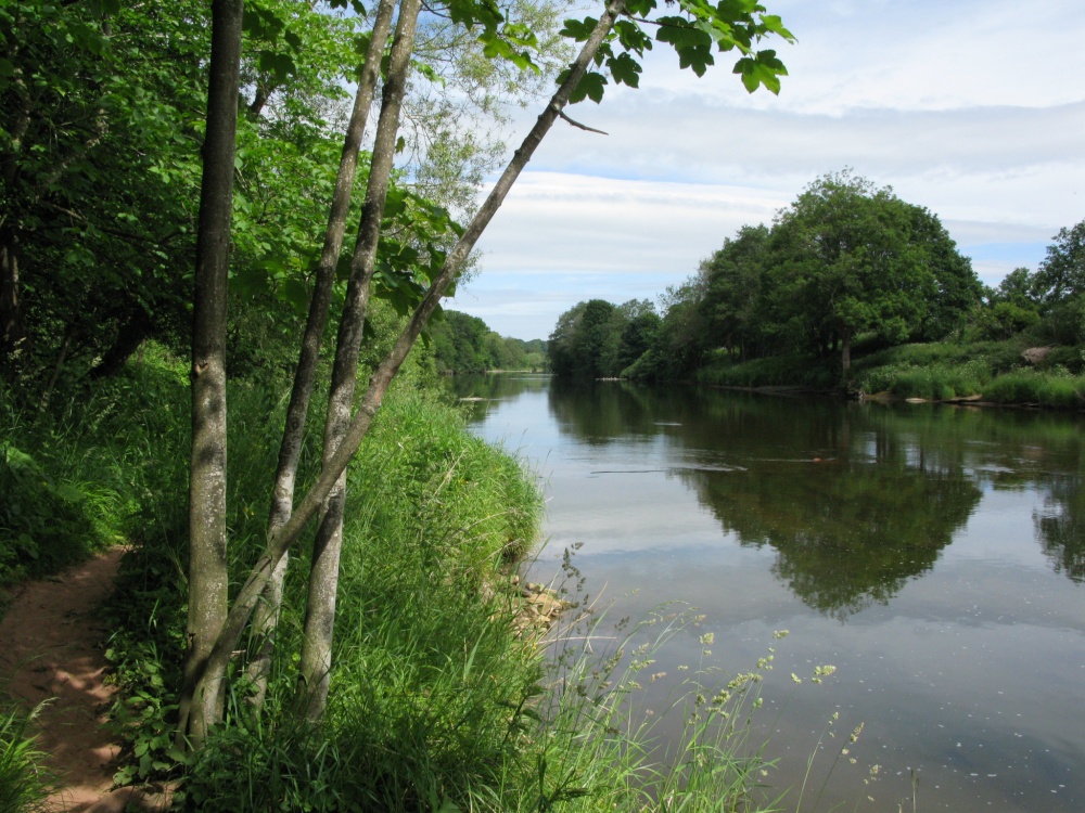 The River Eden near Wetheral