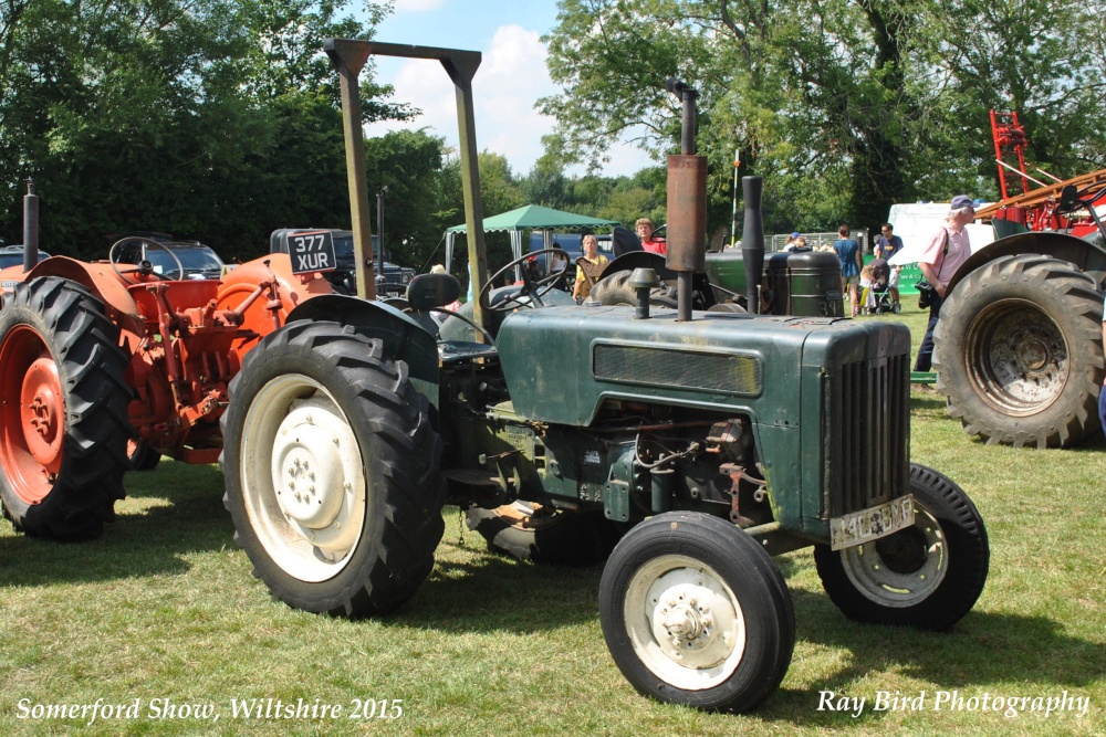 Somerford Show, Great Somerford, Wiltshire 2015