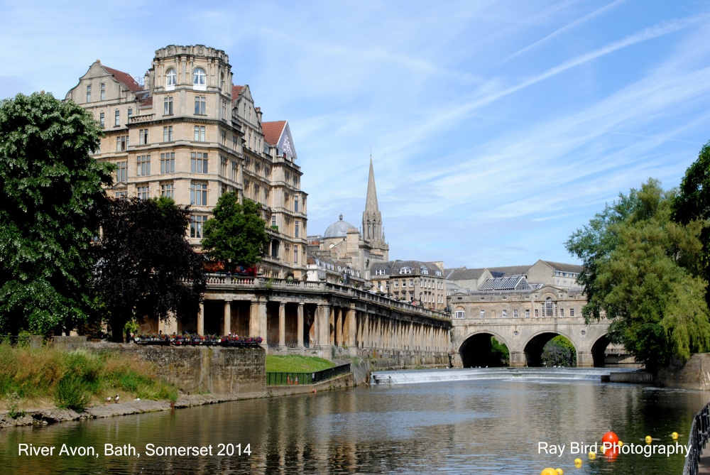 River Avon, Bath, Somerset 2014