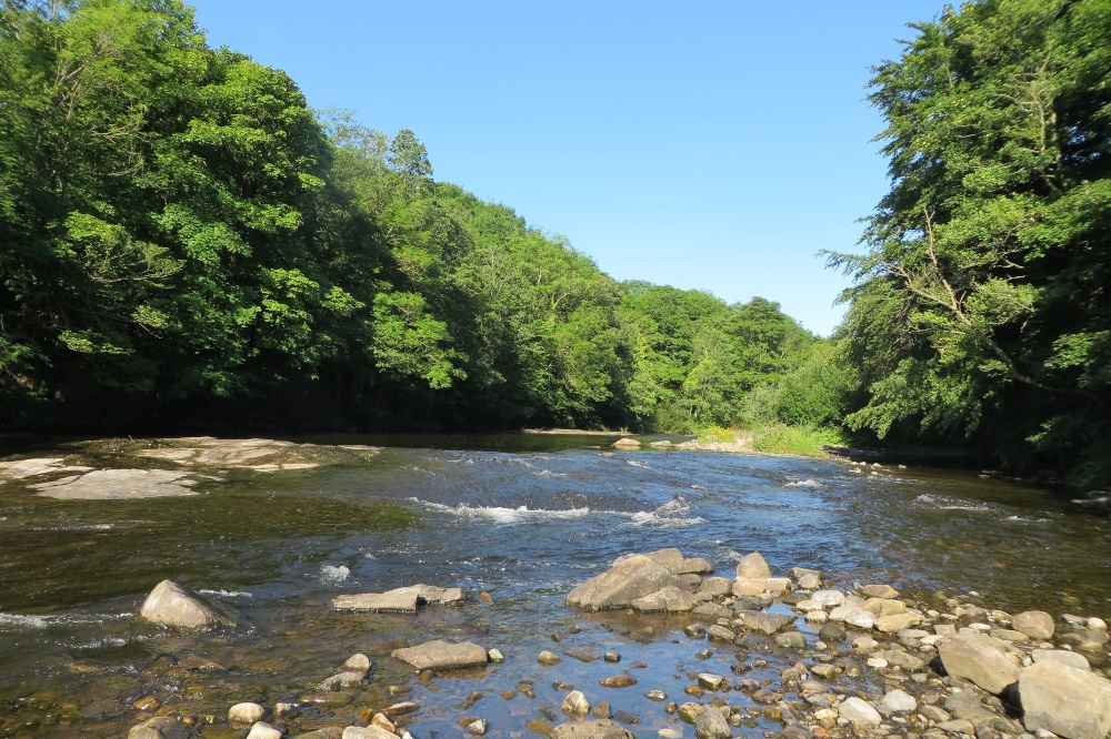 Photograph of River Wear, Wolsingham