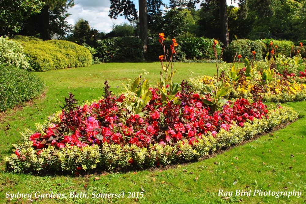 Sydney Gardens, Bath, Somerset 2015