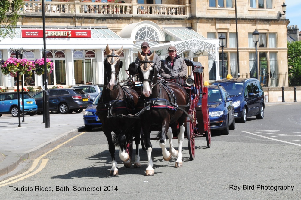 Tourist Rides, Bath, Somerset 2014