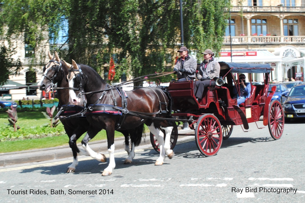 Tourist Rides, Bath, Somerset 2014
