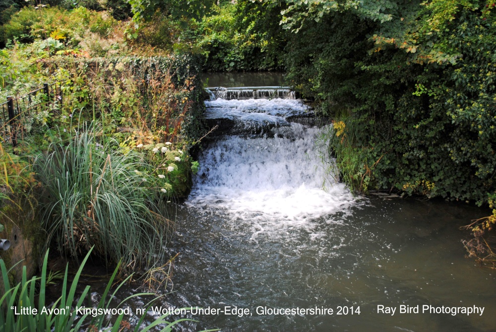 Little Avon, Kingswood, nr Wotton Under Edge, Gloucestershire 2014
