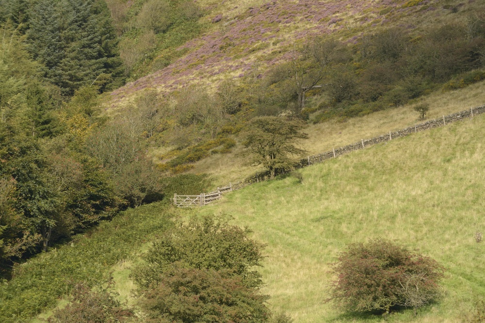 Moorland Gate near Flash, Staffordshire Moorlands