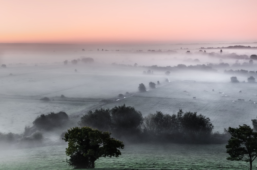 Somerset Levels photo by Tatiana Thrush