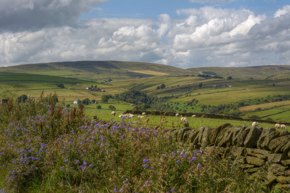Photograph of Farmland above Hollinsclough, Staffordshire Moorlands