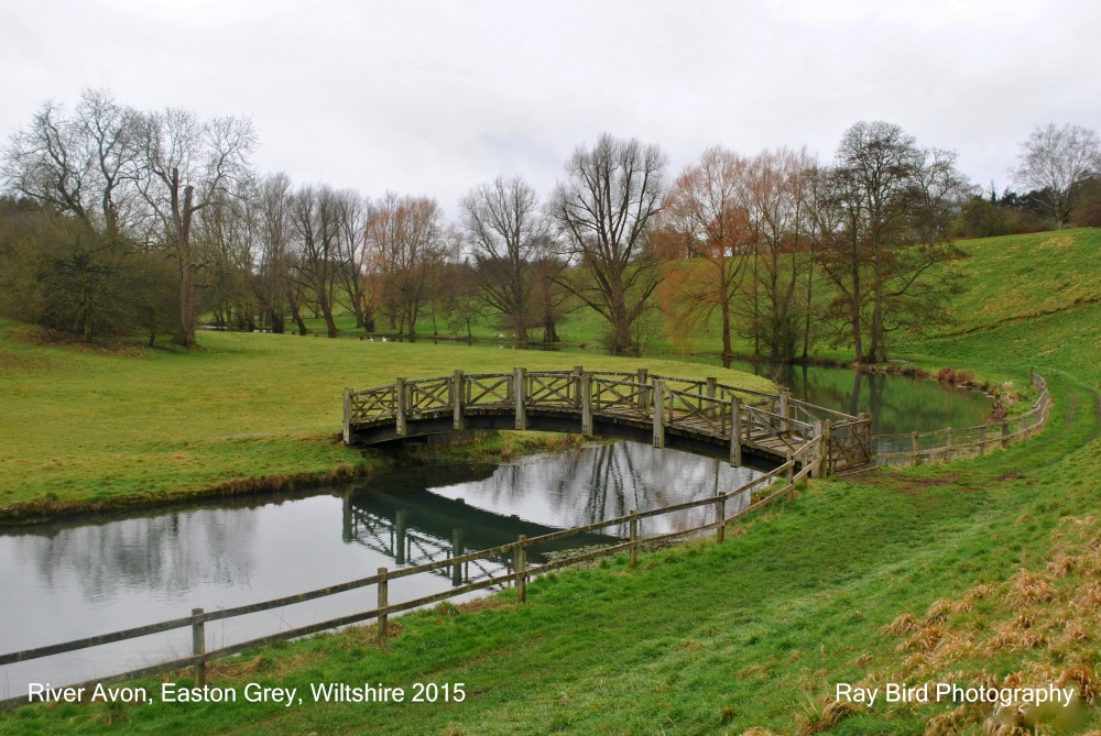 River Avon, Easton Grey, Wiltshire 2015