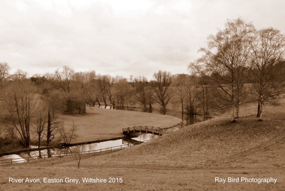 River Avon, Easton Grey, Wiltshire 2015