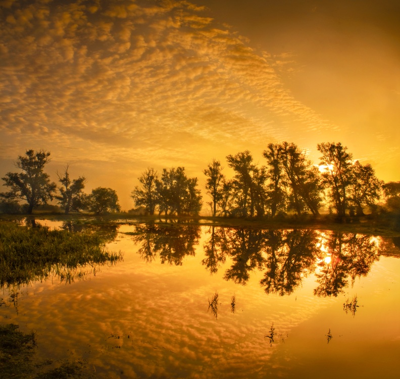 Photograph of Sunrise over Flooded Crayford Marshes