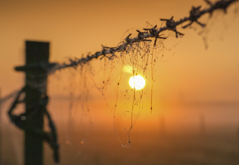Photograph of Sunrise, Crayford Marshes