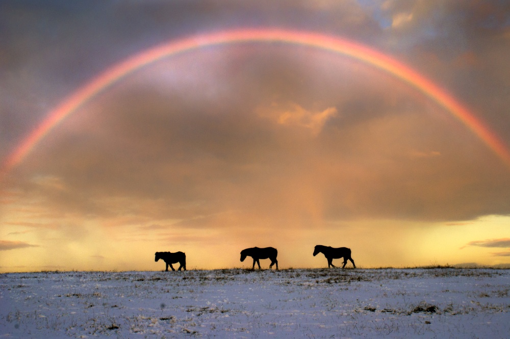 Photograph of Winter Rainbow over the Crayford Marshes