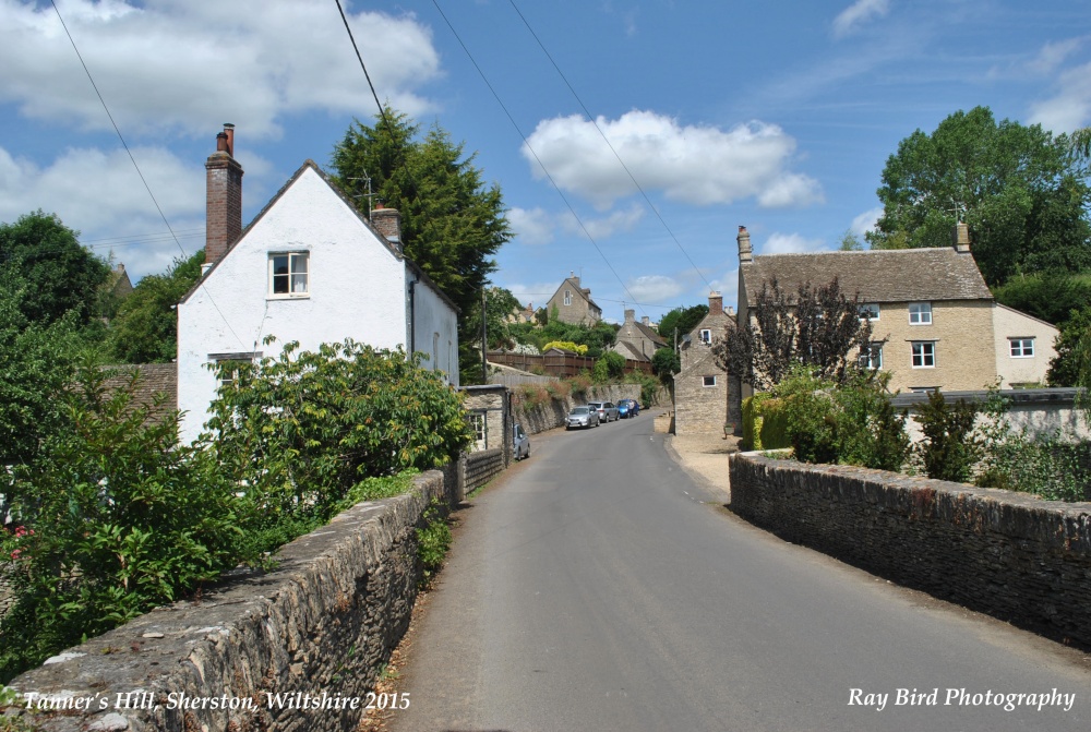 Tanners Hill, Sherston, Wiltshire 2015