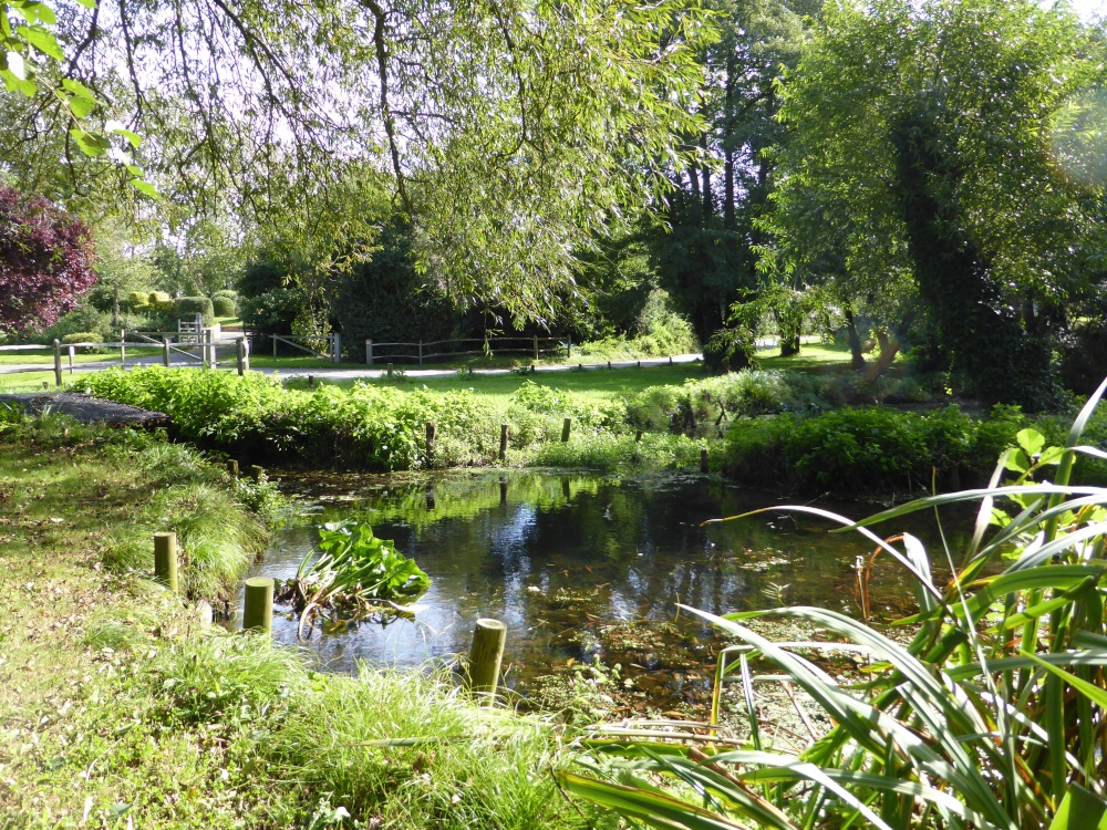 Photograph of The Nature Reserve Pond at West Itchenor, West Sussex.