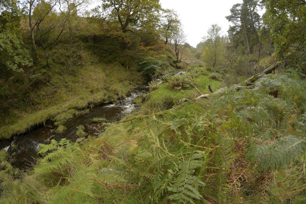 Upper Goyt Valley below Goy's Moss near Buxton, Derbyshire