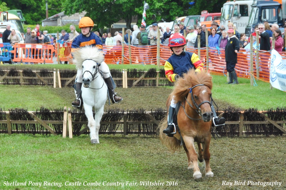 Pony Racing, Castle Combe Steam Rally & Country Fair, Wiltshire 2016