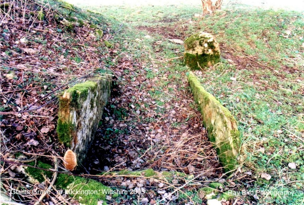'Giants Grave' Luckington, Wiltshire 2005