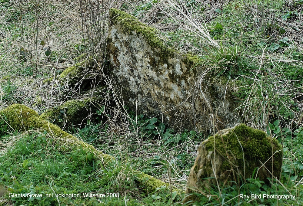 'Giants Grave', Luckington, Wiltshire 2008