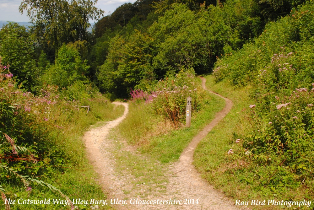 "The Cotswold Way, Uley, Gloucestershire 2014" by Ray Bird at